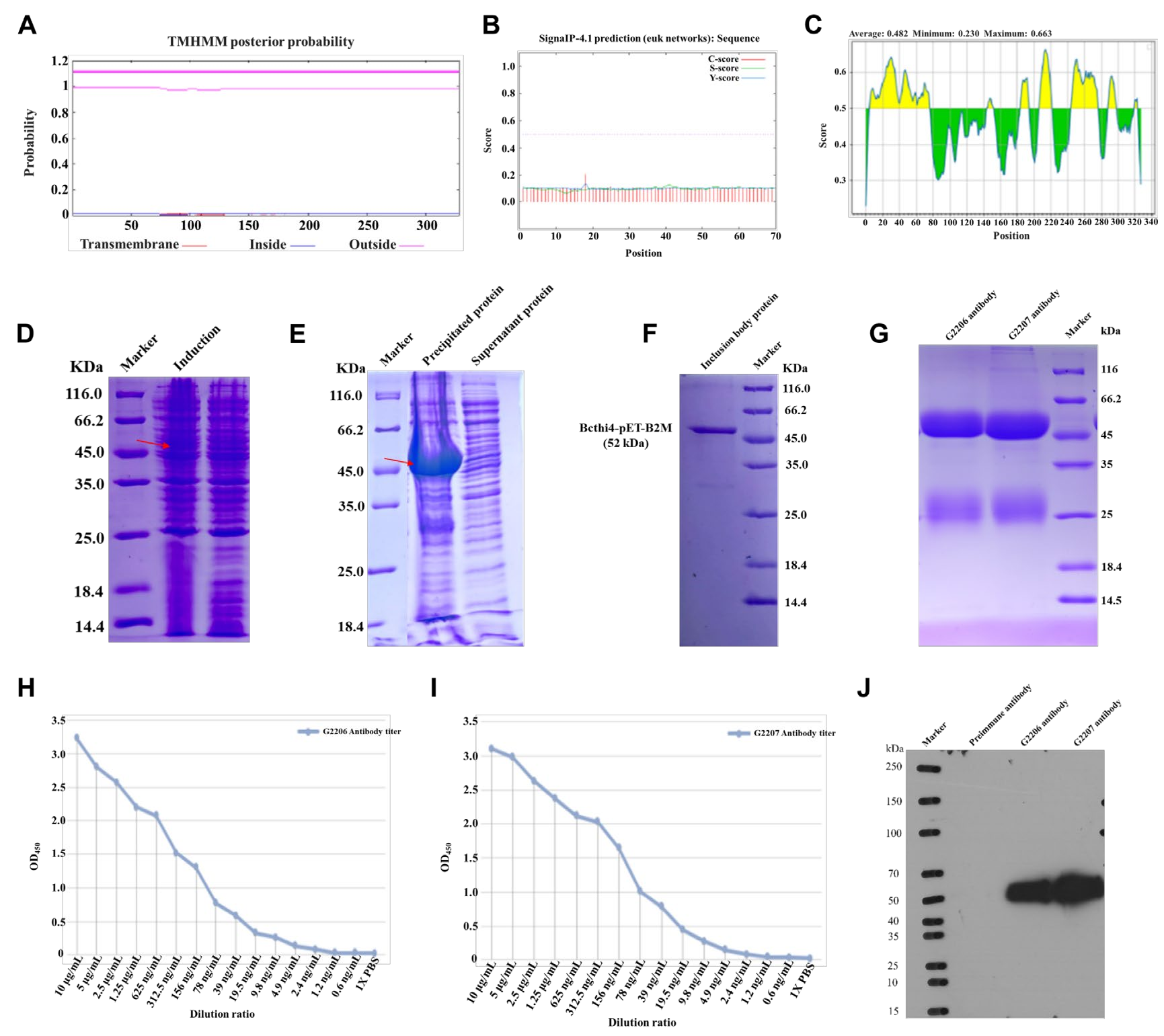 Protein antibody SPR enabling new drug development