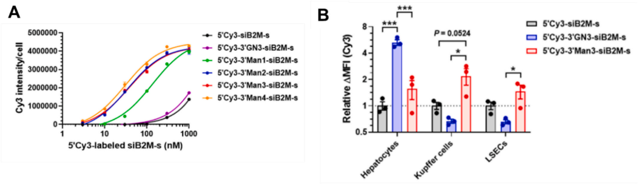 Receptor-ligand interactions for optimized endocytosis in targeted therapies