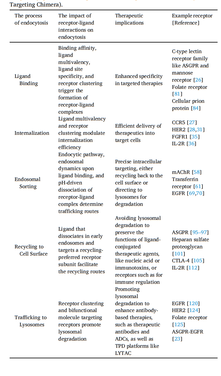 Receptor-ligand interactions for optimized endocytosis in targeted therapies
