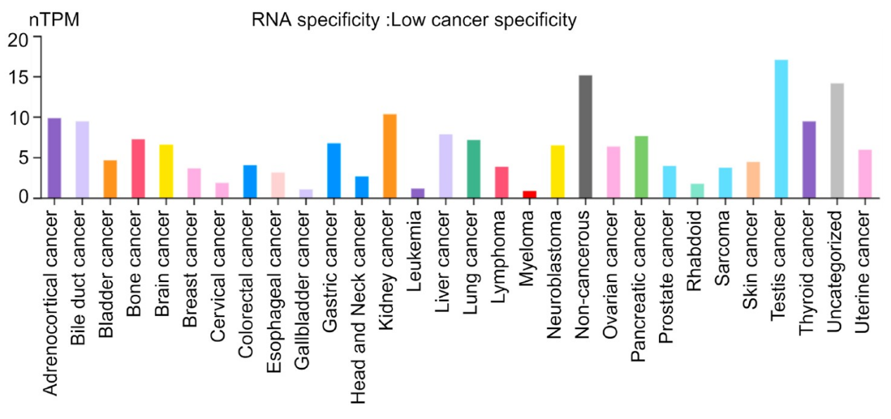 Receptor tyrosine kinase-like orphan receptor ROR1