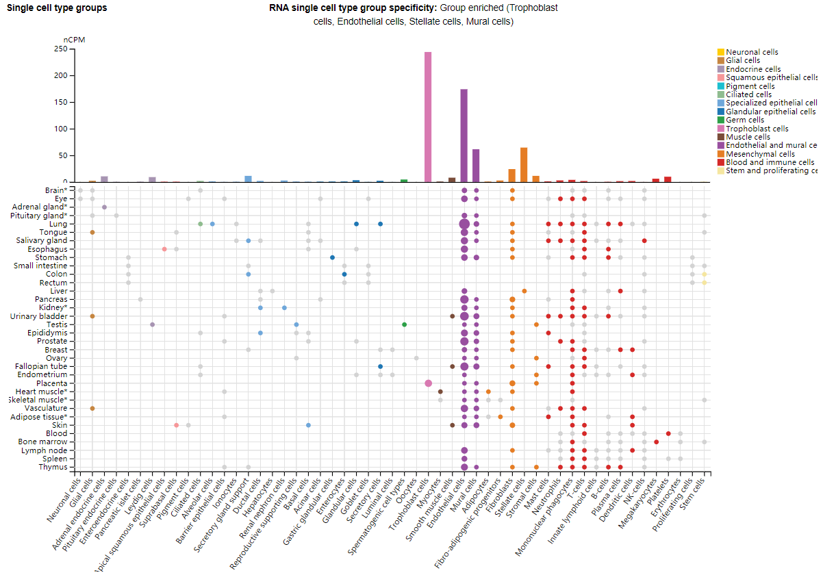 Regulatory T-cell activation regulatory receptor LRRC32
