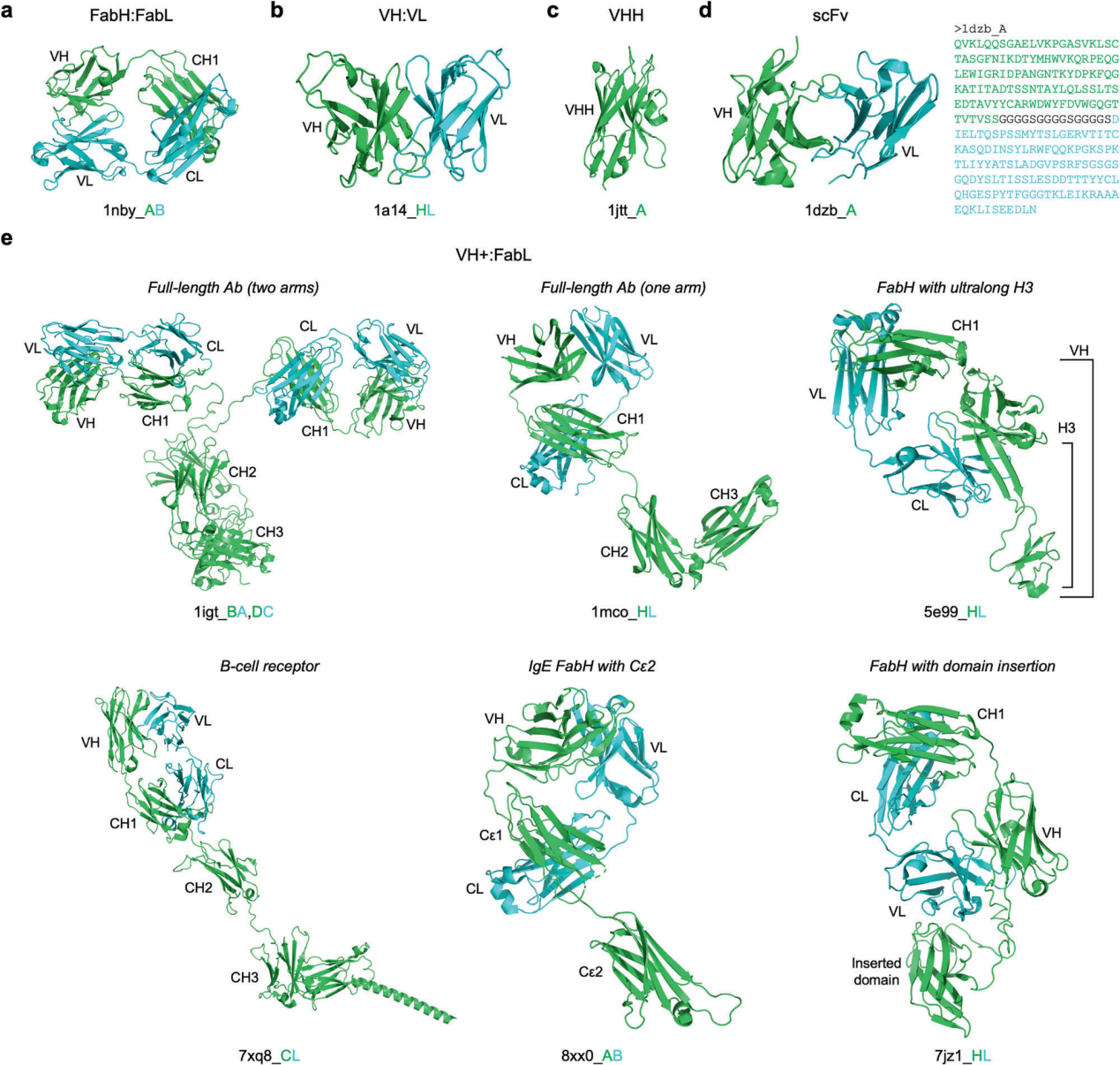 SAAINT-DB a comprehensive structural antibody database for antibody modeling and design