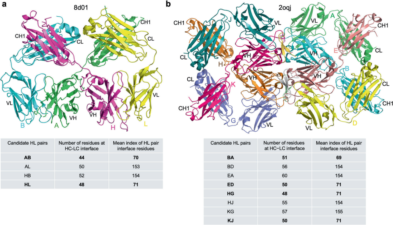 SAAINT-DB a comprehensive structural antibody database for antibody modeling and design