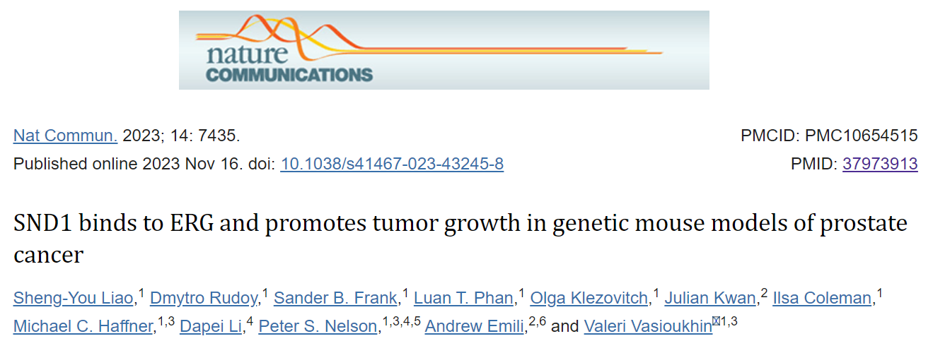 SND1: potential prostate cancer target
