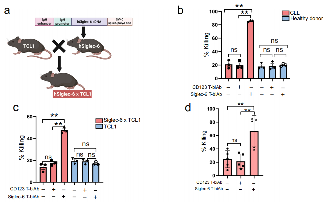 Siglec-6 as a therapeutic target for cell migration and adhesion in chronic lymphocytic leukemia