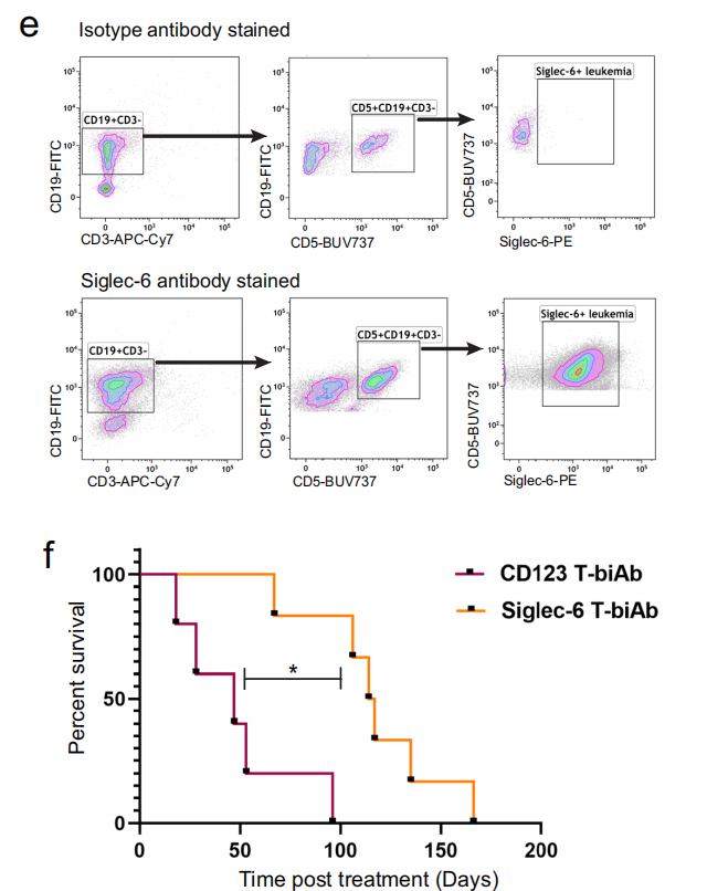 Siglec-6 as a therapeutic target for cell migration and adhesion in chronic lymphocytic leukemia