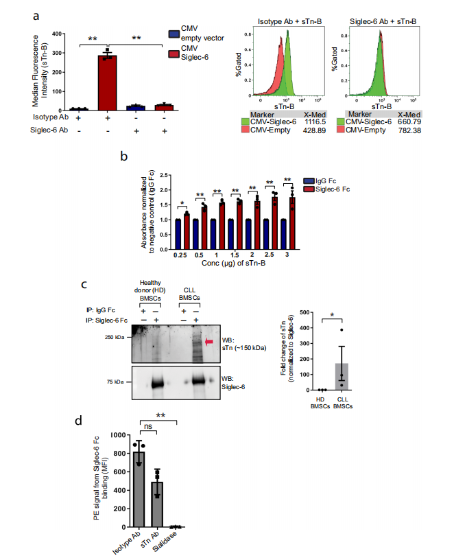 Siglec-6 as a therapeutic target for cell migration and adhesion in chronic lymphocytic leukemia