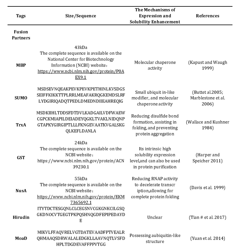 Strategies to overcome the challenges of low or no expression of heterologous proteins in Escherichia coli