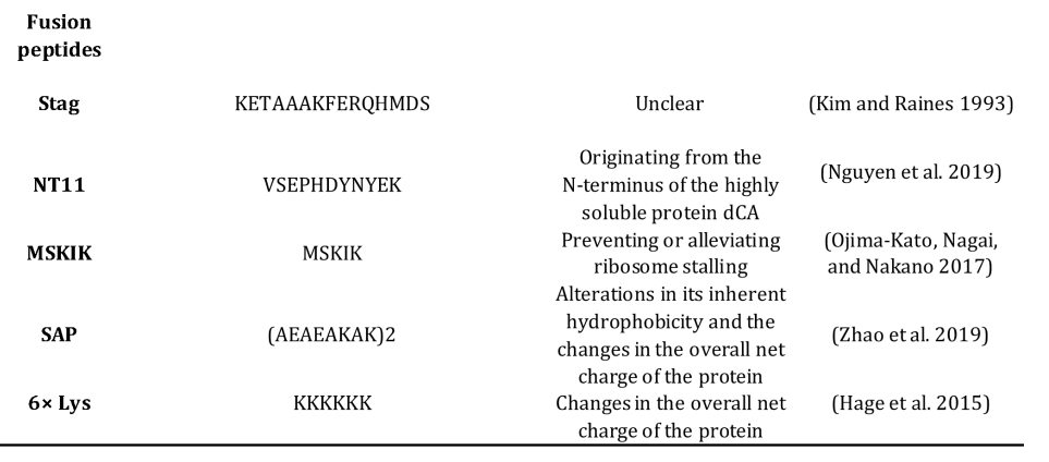 Strategies to overcome the challenges of low or no expression of heterologous proteins in Escherichia coli