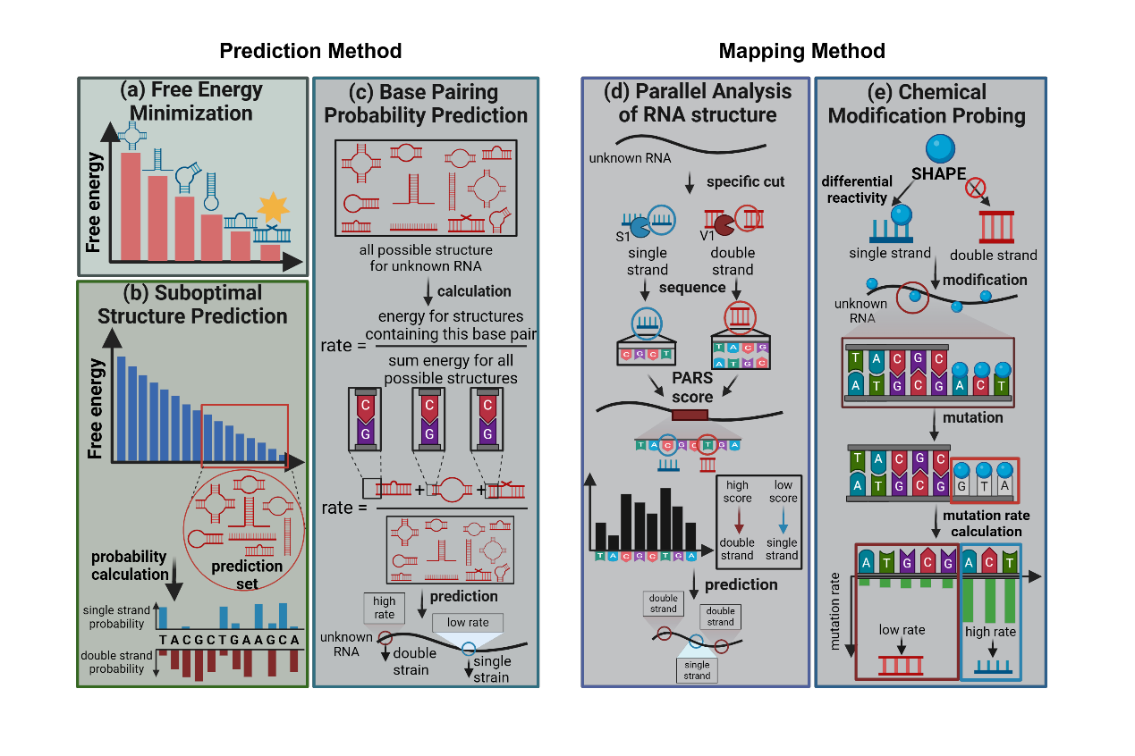 Strategies to overcome the challenges of low or no expression of heterologous proteins in Escherichia coli