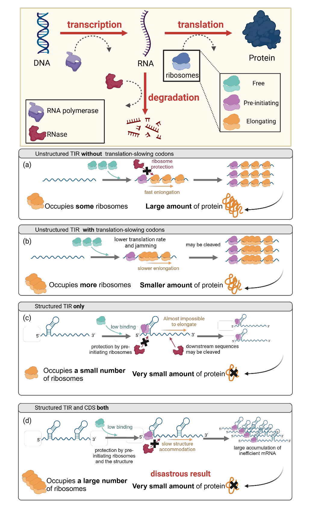 Strategies to overcome the challenges of low or no expression of heterologous proteins in Escherichia coli