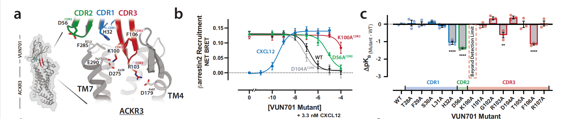 Structural basis for selectivity and antagonism in extracellular GPCR nanobodies