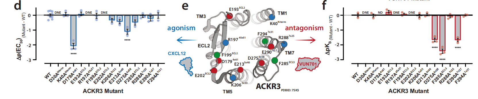 Structural basis for selectivity and antagonism in extracellular GPCR nanobodies