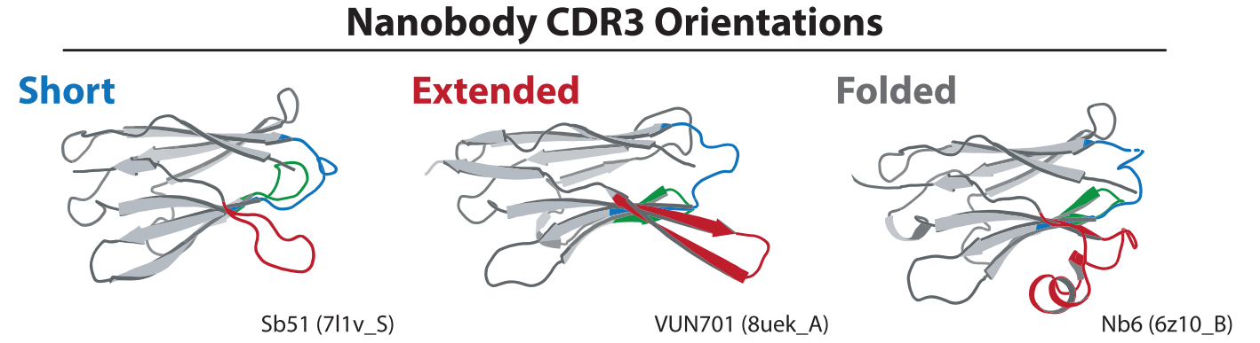 Structural basis for selectivity and antagonism in extracellular GPCR nanobodies