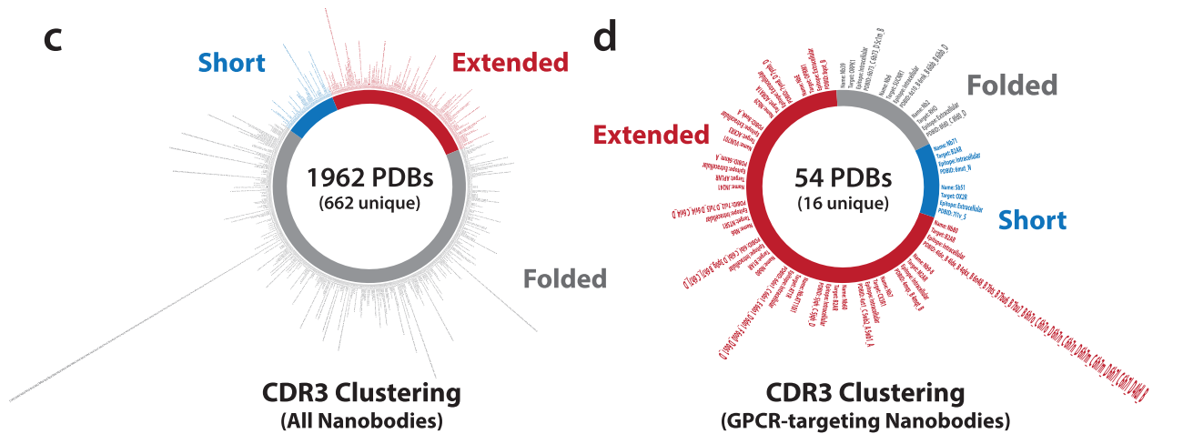 Structural basis for selectivity and antagonism in extracellular GPCR nanobodies