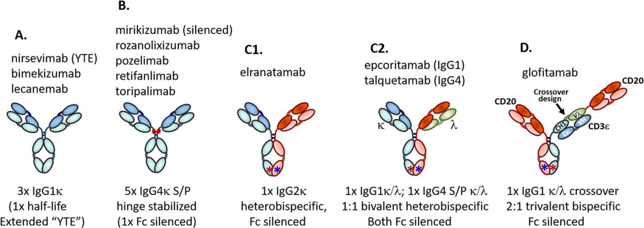 Structure and function of therapeutic antibodies approved by the FDA in 2023