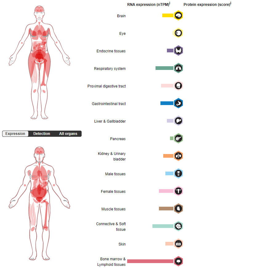 T-cell activation inhibitor VISTA