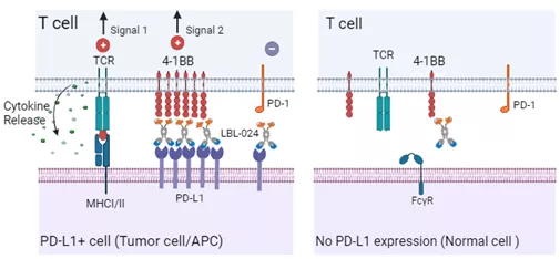 T-cells costimulate the immune checkpoint molecule 4-1BB