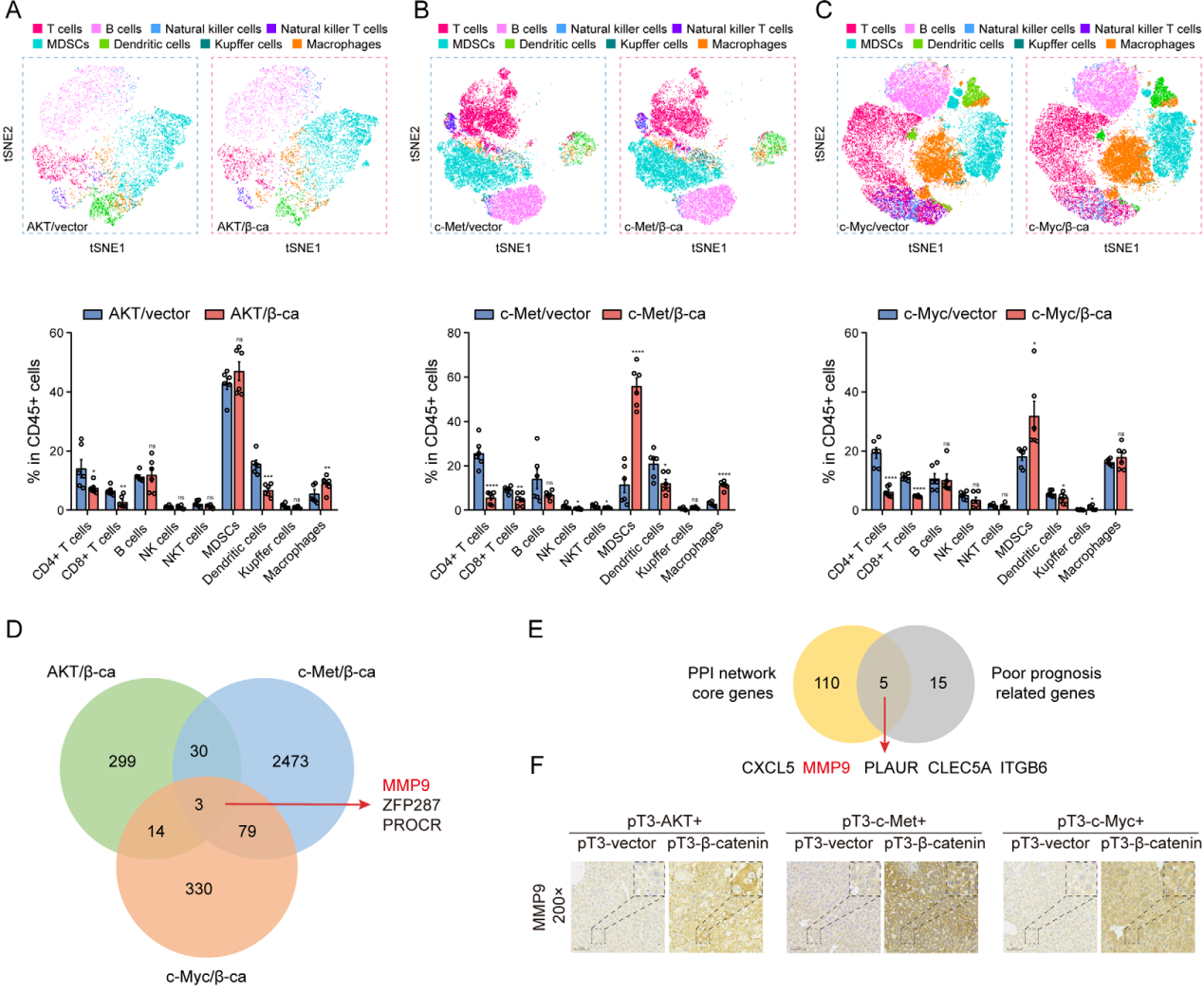 Targeted MMP9 therapy synergistically improves anti-PD1 efficacy