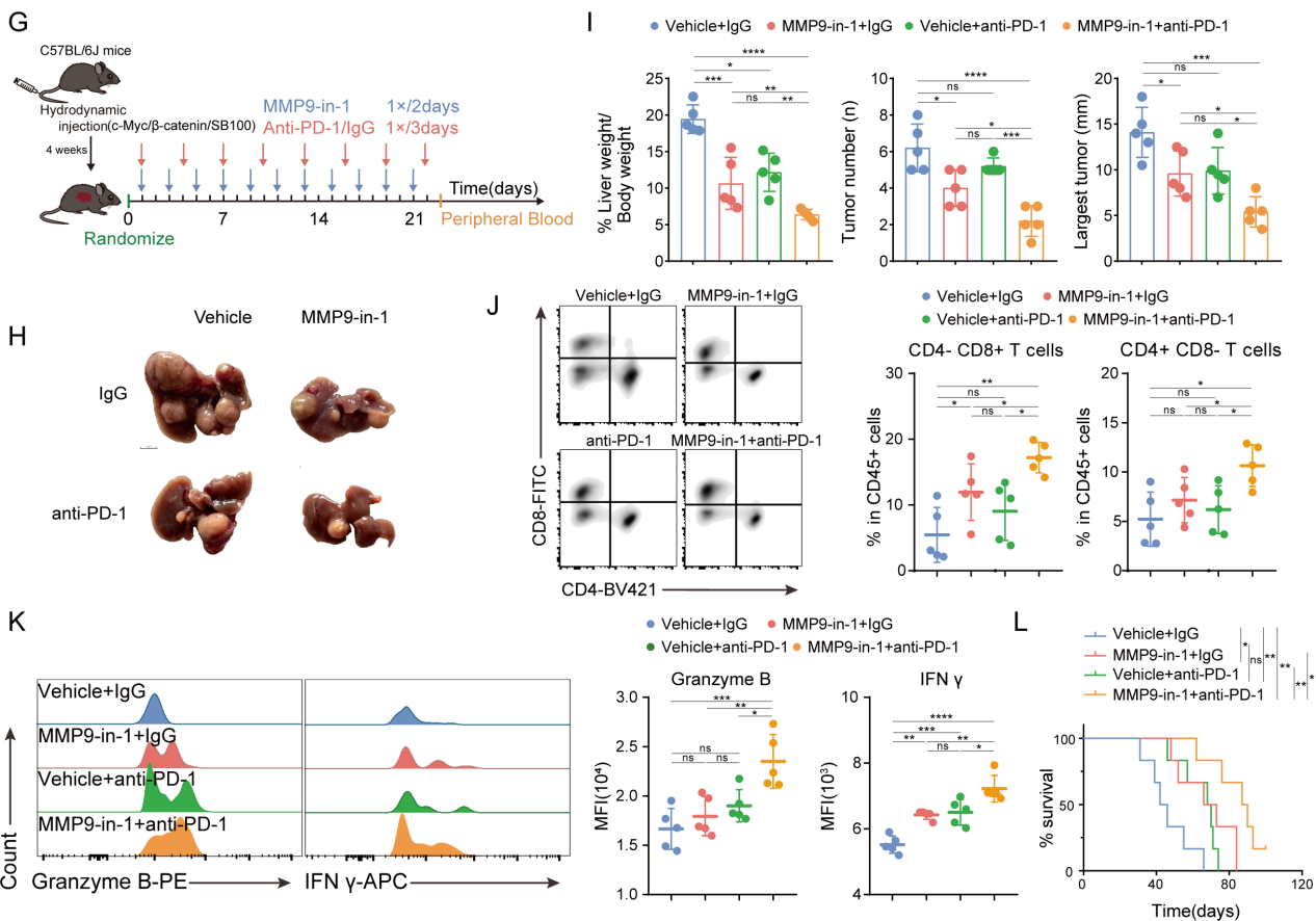 Targeted MMP9 therapy synergistically improves anti-PD1 efficacy