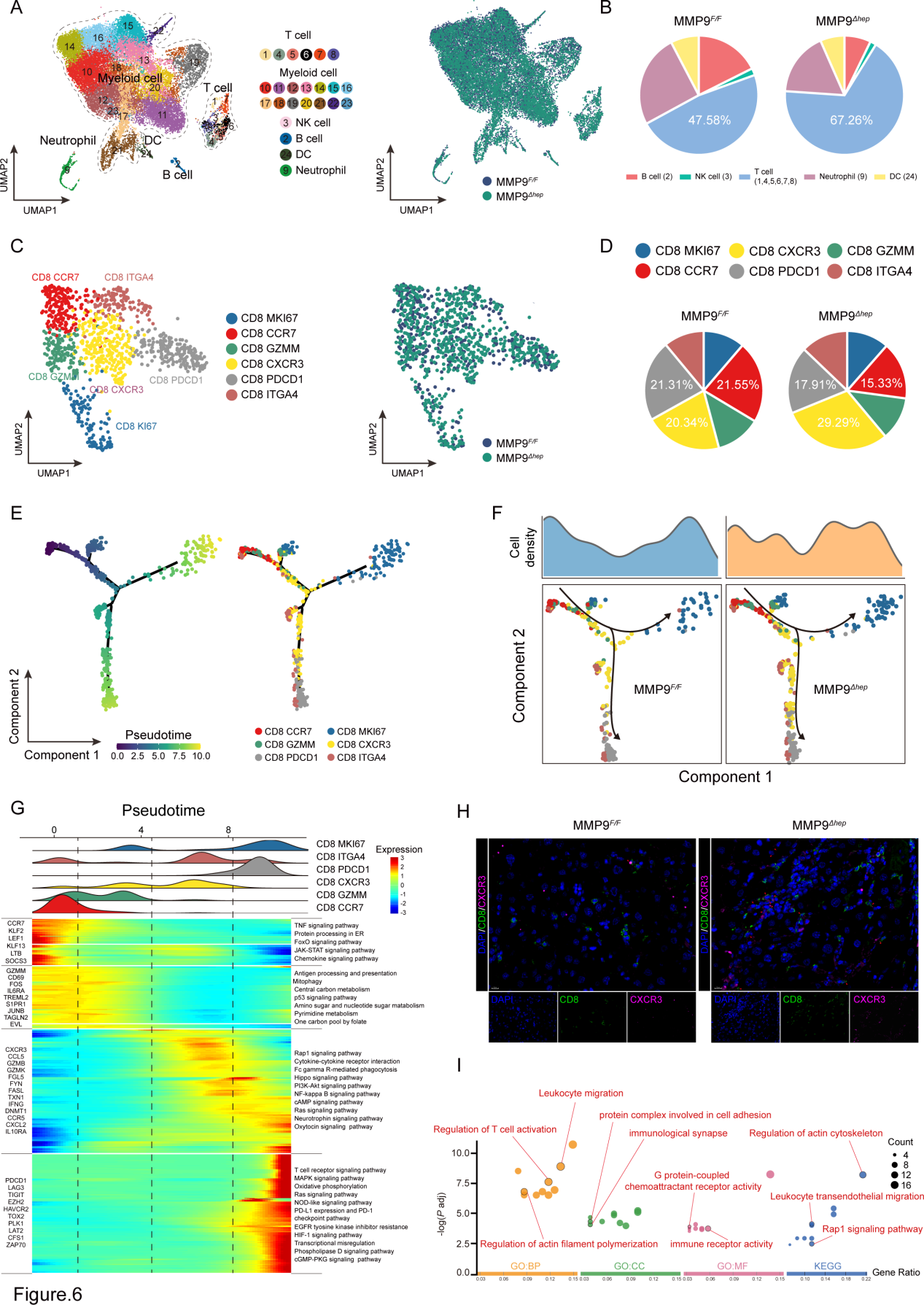 Targeted MMP9 therapy synergistically improves anti-PD1 efficacy