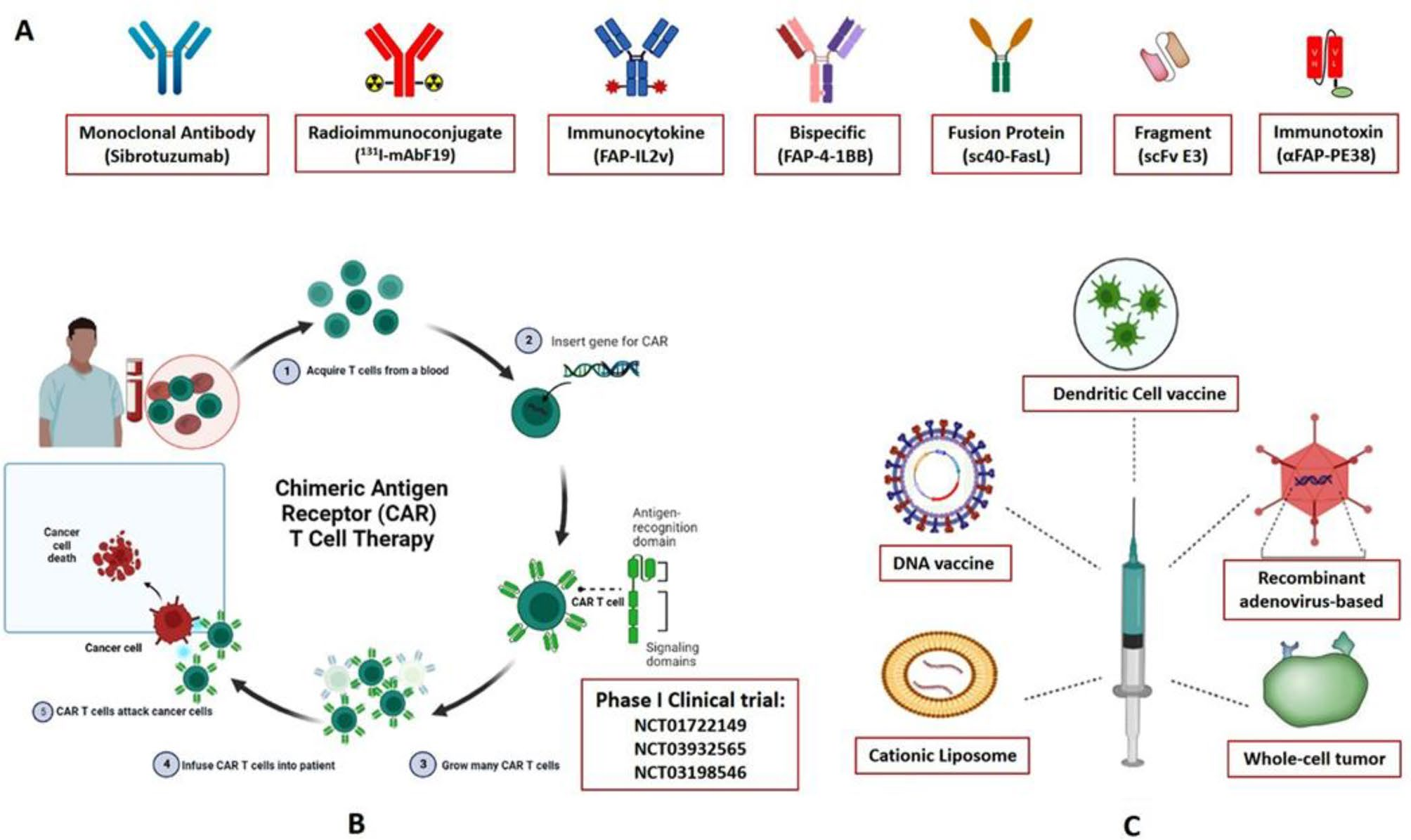 Targeting fibroblast activation protein (FAP): advances in CAR-T cell, antibody, and vaccine in cancer immunotherapy