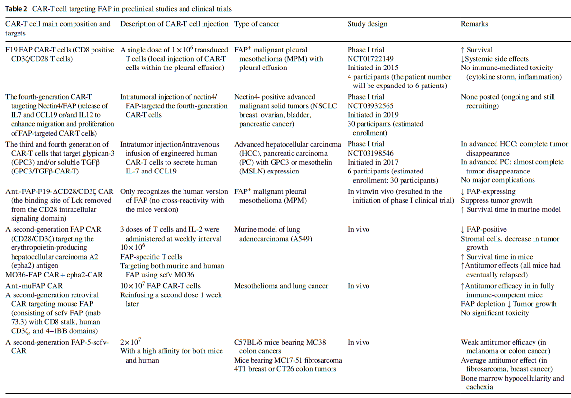 Targeting fibroblast activation protein (FAP): advances in CAR-T cell, antibody, and vaccine in cancer immunotherapy