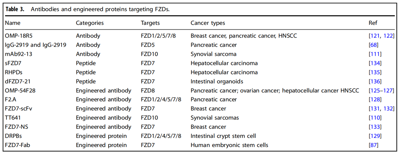 The Wnt pathway activates the receptor family FZD 