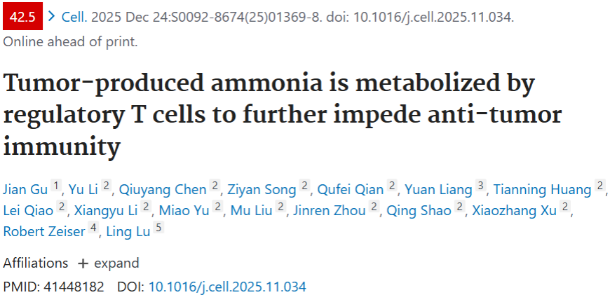 The ammonia produced by tumors promotes the enrichment of regulatory T-cells and inhibits the anti-tumor immune response