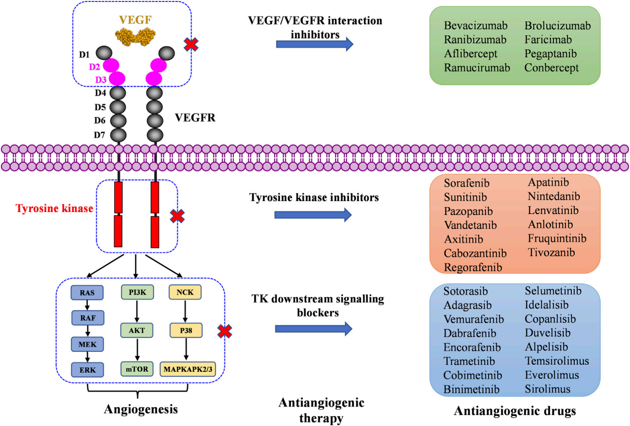 The angiogenin VEGFA
