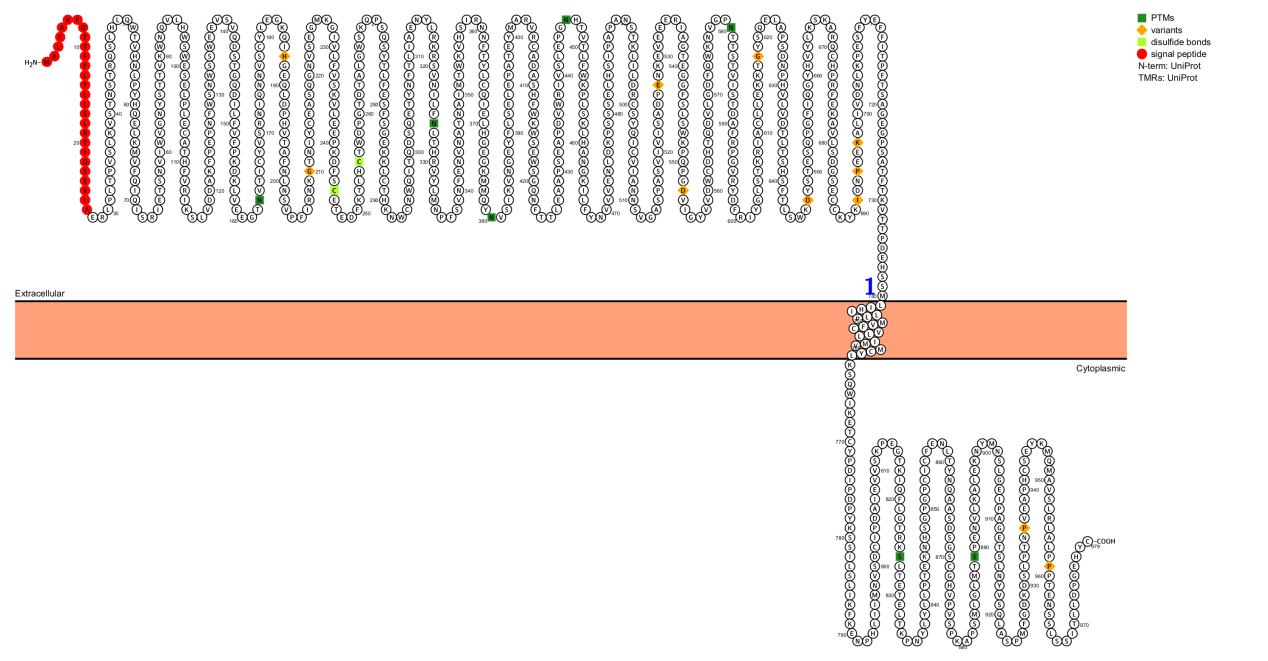The biligand shared receptor OSMR