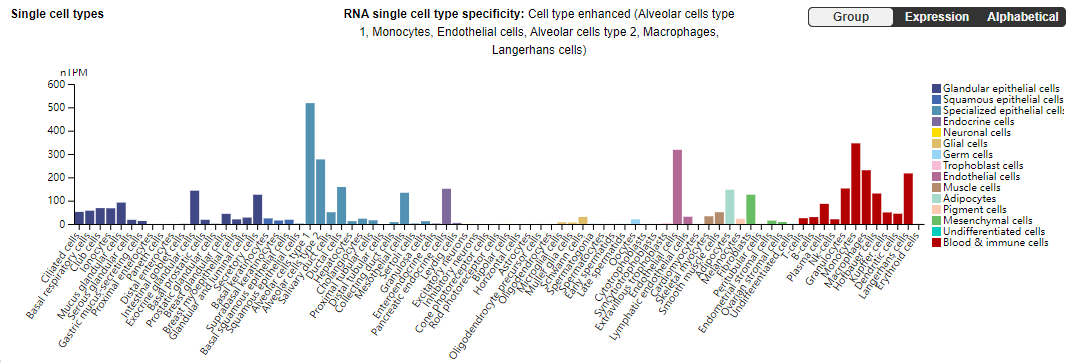 The cell adhesion molecule ICAM1