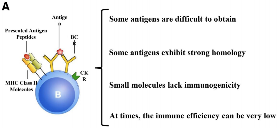 The challenges and breakthroughs in the development of diagnostic monoclonal antibodies