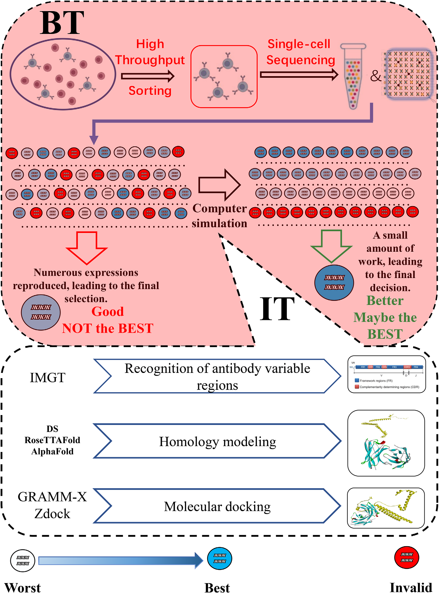 The challenges and breakthroughs in the development of diagnostic monoclonal antibodies