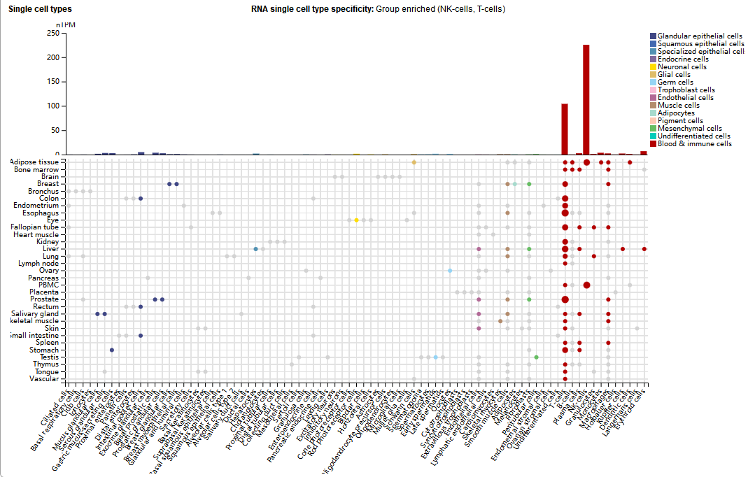 The co-inhibitory immune checkpoint KLRC1