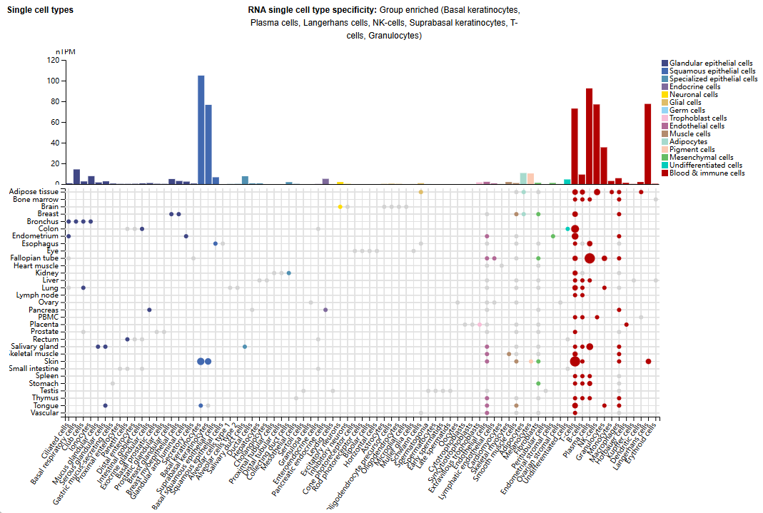 The costimulatory receptor GITR