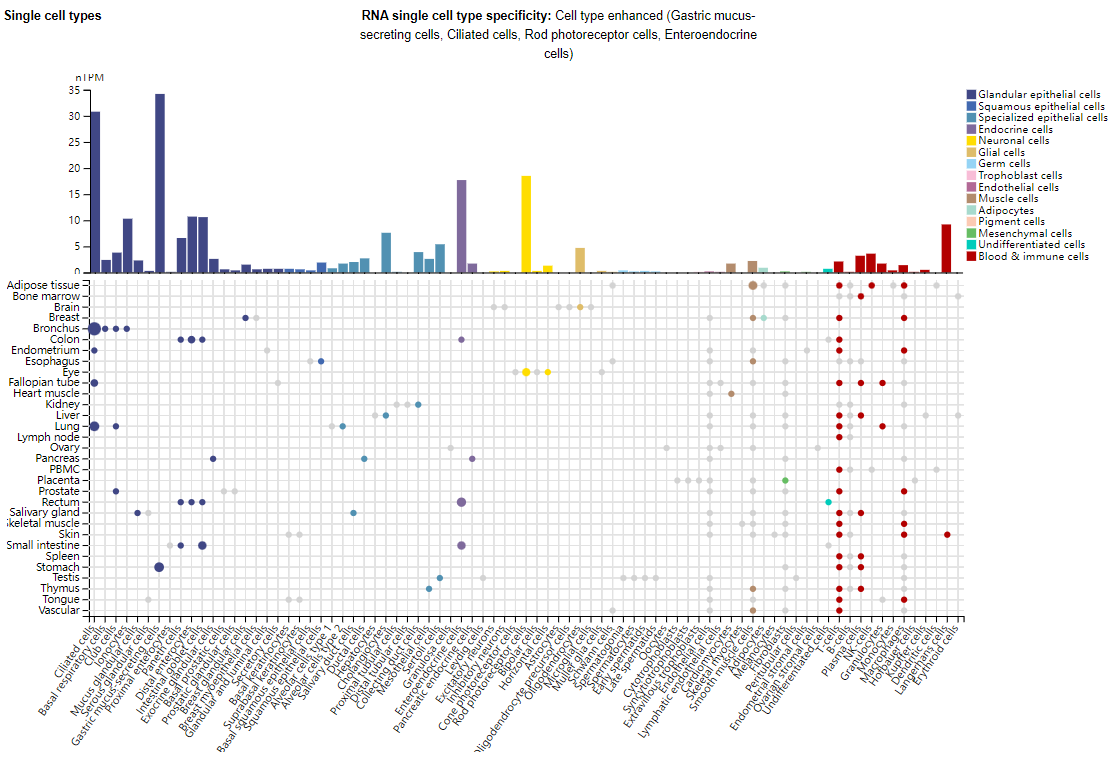 The glucose regulatory receptor GIPR