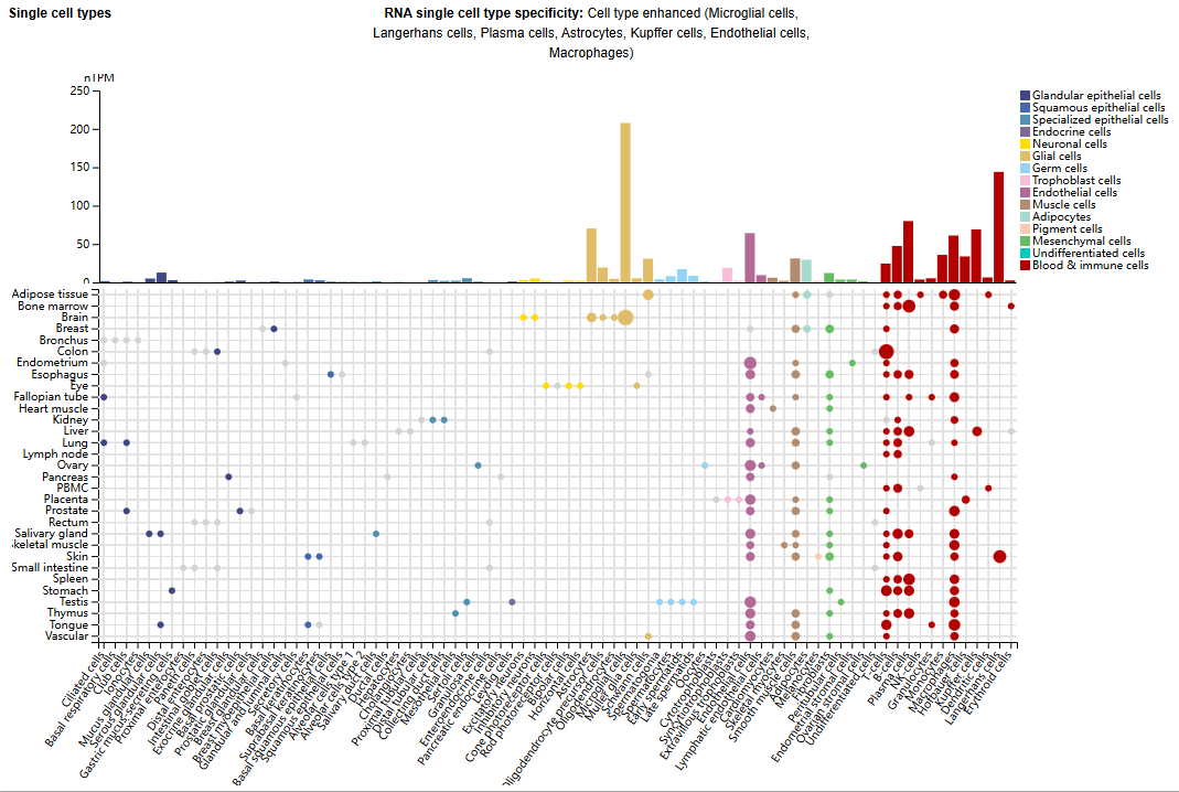 The immunosuppressive enzyme CD39
