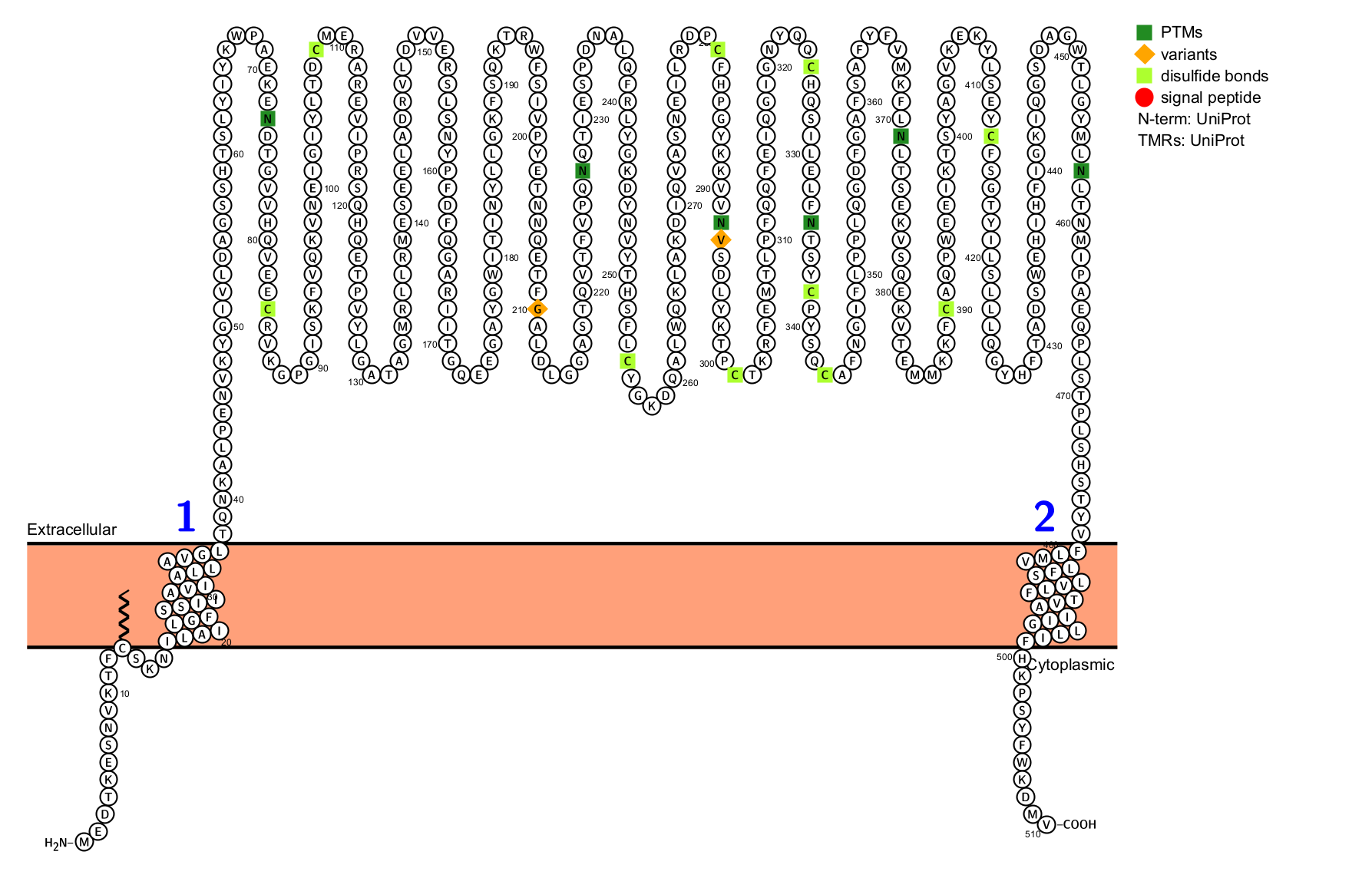 The immunosuppressive enzyme CD39