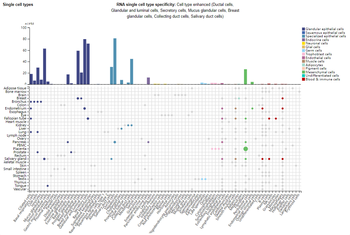 The immunosuppressive molecule B7H4