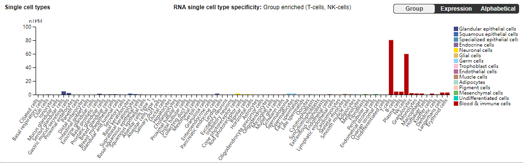 The inhibitory receptor TIGIT