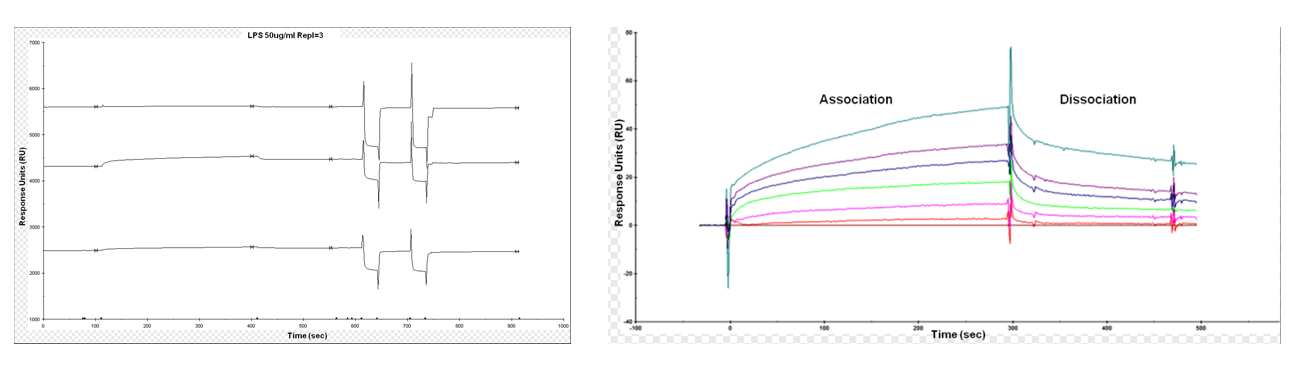 The introduction of Surface Plasmon Resonance