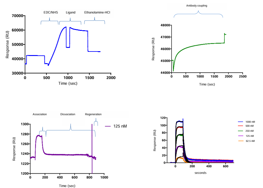 The introduction of Surface Plasmon Resonance