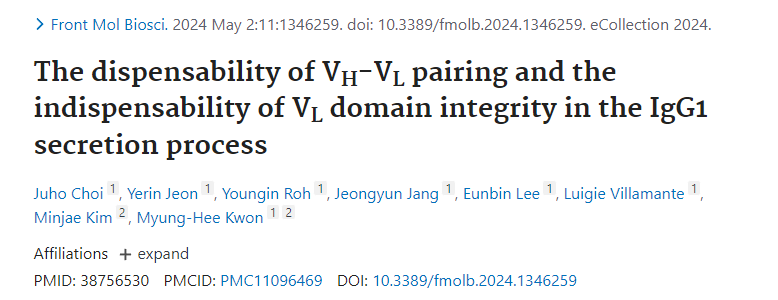 The key factors in IgG1 secretion are CH-CL pairing and VL domain integrity
