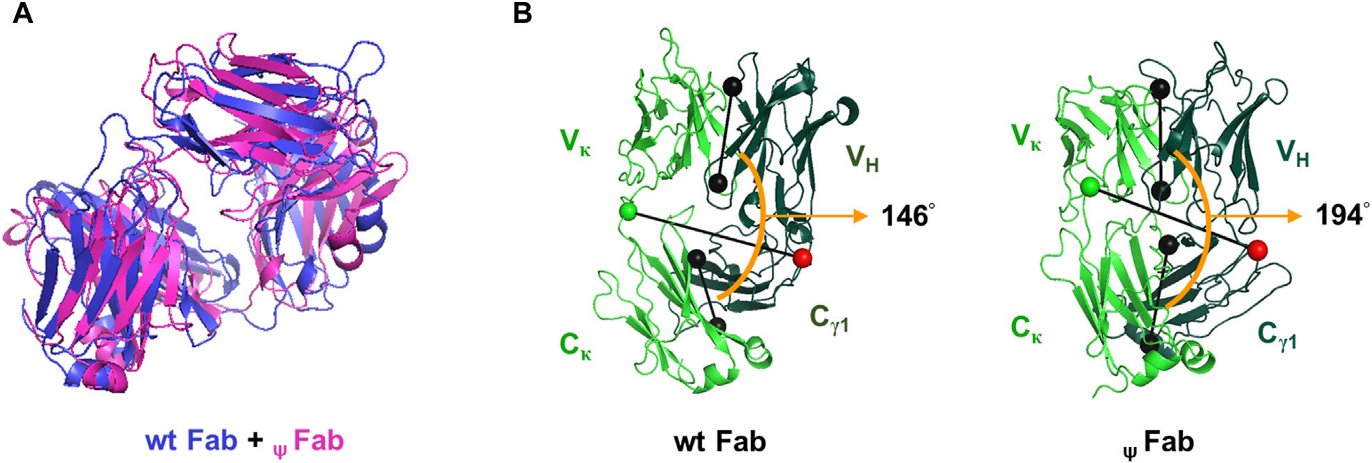 The key factors in IgG1 secretion are CH-CL pairing and VL domain integrity