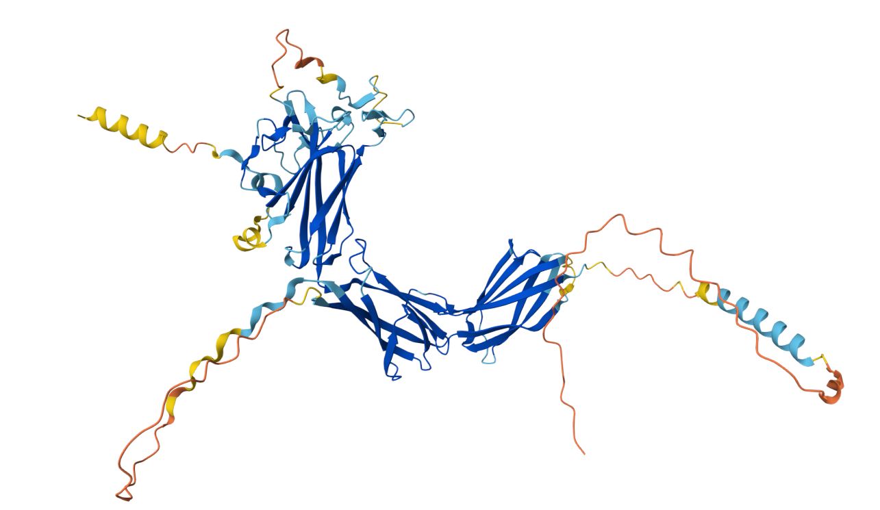 The melanogenic enzyme GPNMB