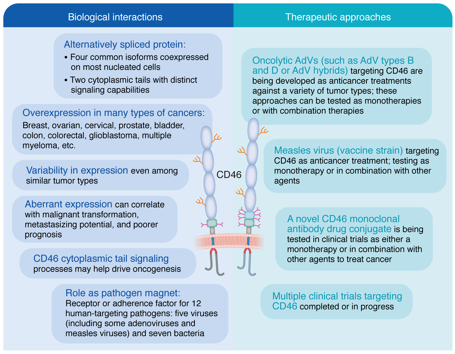 The multiverse of CD46 and oncologic interactions