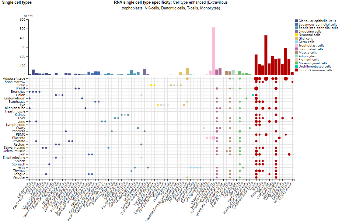 The pleiotropic cytokine TGFB
