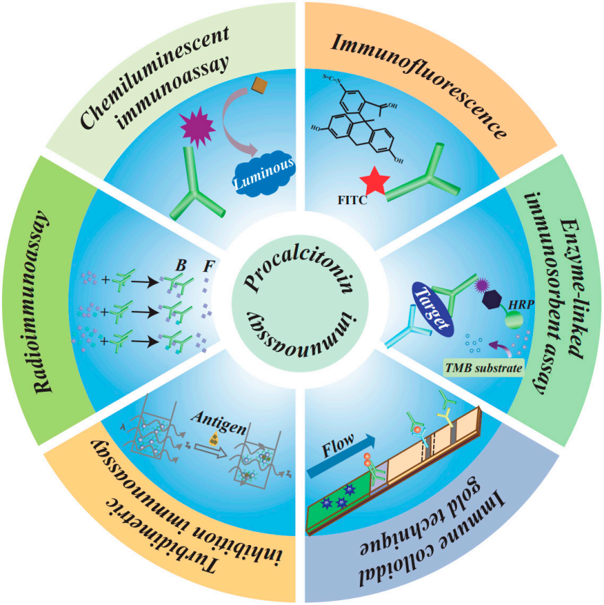 The sepsis biomarker PCT