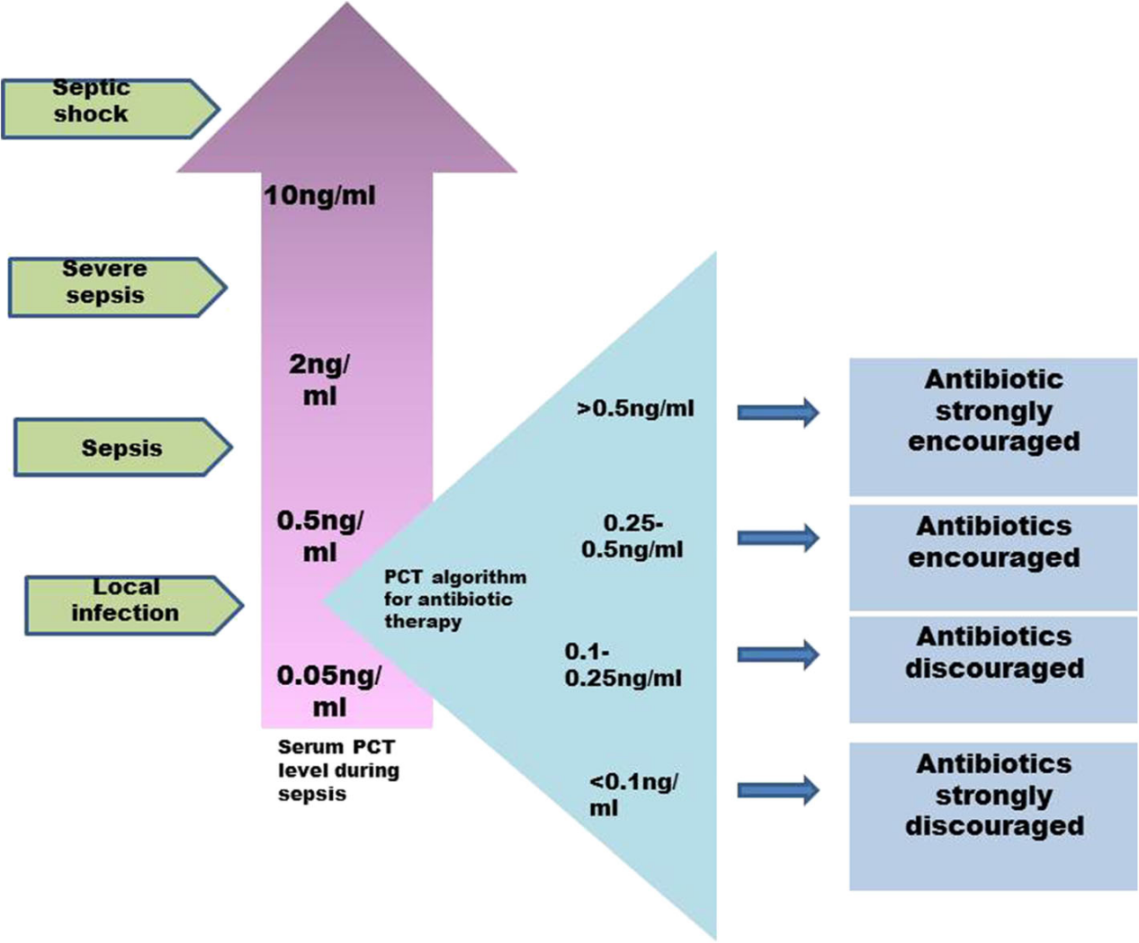 The sepsis biomarker PCT